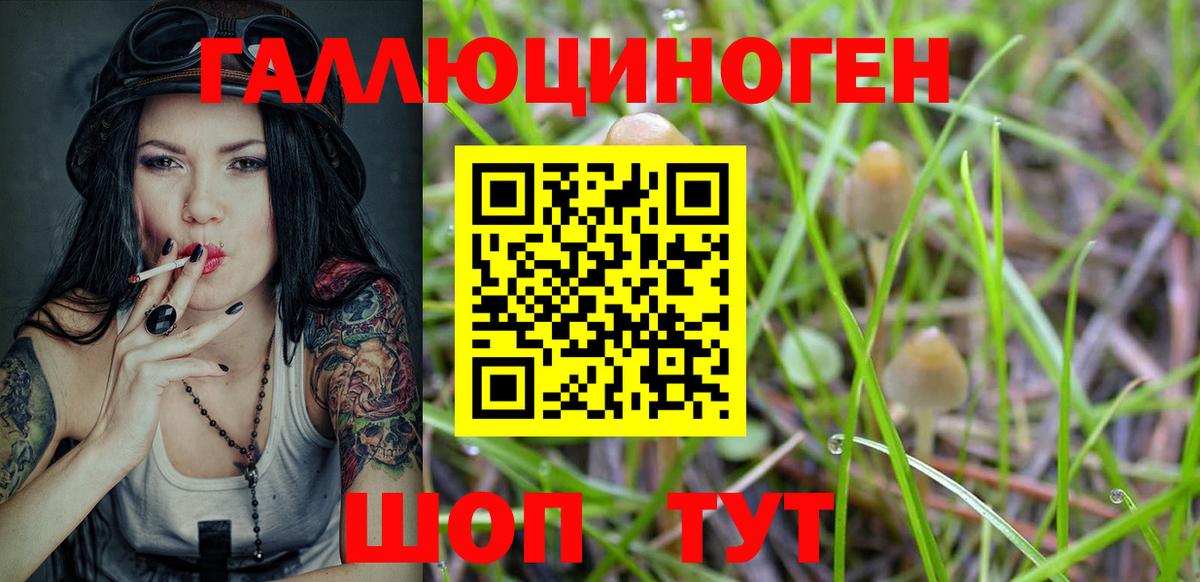 Норильск  Псилоцибиновые грибы ЛСД  Вход с VPN 