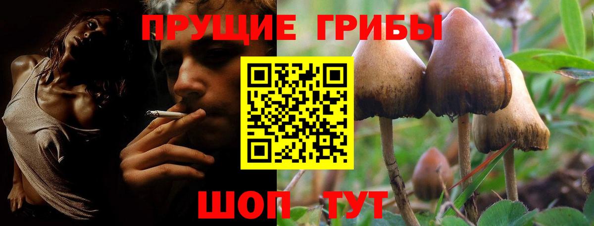 Псилоцибиновые грибы Magic Shrooms Норильск